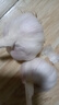 山東大蒜【中果】新鮮干蒜紫白皮大蒜農(nóng)家新蒜頭生鮮蔬菜調(diào)味辛辣 大蒜中果3.5-4.5cm【凈重 100g 】 曬單實(shí)拍圖