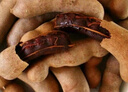 酸甜角云南特產(chǎn)羅望子休閑零食綠色源頭直發(fā)-發(fā)財 大甜角帶箱400g+100g（抵壞果） 曬單實拍圖