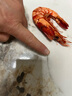 海鮮頌九節(jié)蝦干即食大蝦干烤蝦干對(duì)蝦干特大斑節(jié)蝦干海產(chǎn)干貨大烤蝦 中號(hào)斑節(jié)蝦干500g/50-60只 曬單實(shí)拍圖