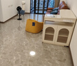 格力（GREE）【清新空氣】直流變頻四季空氣循環(huán)扇家用落地扇電風(fēng)扇輕音桌面循環(huán)扇空調(diào)伴侶 FXDZ-20X62Bcg3 曬單實(shí)拍圖