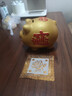 俏羽存錢罐女孩便宜新款只進(jìn)不出金豬儲(chǔ)蓄儲(chǔ)錢兒童男孩女孩2025陶瓷小 單個(gè)長15厘米【可取錢】約存紙幣 曬單實(shí)拍圖