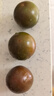【順豐】丹東鐵皮柿子新鮮當季堿地自然熟西紅柿綠腚草莓柿子整箱 凈重5斤【鮮美口感】A+精選 曬單實(shí)拍圖