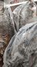 翔泰海南三去羅非魚/海南鯛1400g/共4條免處理 生鮮魚類 海鮮水產(chǎn)  曬單實(shí)拍圖