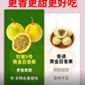 欽蜜9號百香果苗廣西純甜黃金樹苗庭院盆栽種植當年結果帶土四季 2顆 欽蜜九號黃金百香果 30—40cm 曬單實拍圖