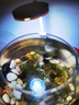 魔法龍 MAGIC DRAGON魚(yú)缸燈照明燈led防水全光譜水草夾燈水族箱增艷燈小型節能觀(guān)賞燈 USB款白色-小圓形夾燈6.4W(白光) 曬單實(shí)拍圖