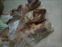 現殺散養生鮮乳鴿孕婦煲湯乳鴿營(yíng)養新鮮包郵烤乳鴿煲湯老鴿子 5只【滋補乳鴿】 曬單實(shí)拍圖