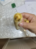 京鮮生臨安天目山小香薯3斤 單果約30g-100g 香甜軟糯  源頭直發(fā) 曬單實拍圖