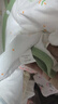貝瑞加（Babyprints）嬰兒半背衣2件裝長(cháng)袖純棉寶寶上衣護肚和尚服家居內衣 小熊貓咪59 曬單實(shí)拍圖