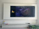 FFALCON雷鳥電視 75鶴6 PRO 25款（PLUS版） 75英寸 QD-MiniLED 高階VA 家電國家補(bǔ)貼電視75S595C Pro 曬單實(shí)拍圖