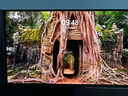 泰坦軍團26.5英寸 原廠QD-OLED屏 2K 原生240Hz 專業(yè)電競調(diào)校 10bit 防燒屏技術(shù) 帶背光燈效 顯示器 G27W8S 曬單實拍圖