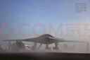無(wú)人機作戰:起源和發(fā)展史 曬單實(shí)拍圖