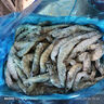 美加佳南美白蝦無(wú)冰凈重3斤 規格40/50 單凍大蝦 家庭聚餐  海鮮水產(chǎn) 曬單實(shí)拍圖