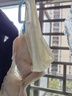 都市麗人女士冰絲內褲女7A聚乳酸抑菌山茶花美膚中腰無(wú)痕不夾臀女生三角褲 曬單實(shí)拍圖