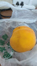 蒙陰紅桃現摘新鮮毛桃生鮮水果產(chǎn)地直發(fā)豫見(jiàn)不宛 實(shí)惠帶箱5斤裝【手工挑選】 單果150克起 曬單實(shí)拍圖