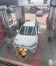 京東養(yǎng)車標準洗車服務 五座SUV 周二至周四可用 不滿意重新洗 曬單實拍圖