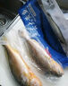 1號會員店【山姆同廠】冷凍寧德三去大黃魚 黃花魚 凈重700g/2條裝 水產(chǎn)魚 曬單實拍圖