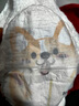 好奇（Huggies）軟萌星人柯基拉拉褲拉拉褲嬰兒尿不濕XXXL24(17kg以上)嬰兒尿不濕 曬單實拍圖