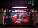 森森（SUNSUN）魚缸過濾器壁掛式抽水泵外置小型過濾桶YBG-400 5W 曬單實(shí)拍圖