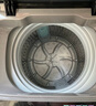 美的（Midea）波輪洗衣機(jī)全自動(dòng)家用 MB55V36E 5.5公斤 宿舍租房 迷你洗衣機(jī)小型 隨心洗 以舊換新 家電國(guó)家補(bǔ)貼 曬單實(shí)拍圖