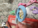 兒童毛巾圈發(fā)繩不傷發(fā)扎頭繩女童橡皮筋發(fā)圈小女孩扎馬尾可愛(ài)頭飾 蝴蝶結(jié)1套【6個(gè)裝】 曬單實(shí)拍圖