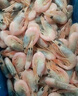 漁吻北極甜蝦熟凍海藻頭北極蝦冰蝦元寶蝦腹籽甜蝦即食盒裝蝦類(lèi) 金標腹籽甜蝦 4斤(凈重) 曬單實(shí)拍圖