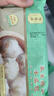 陶陶居中華老字號(hào)品牌 廣式早餐包子廣府點(diǎn)心面點(diǎn)生鮮半成品點(diǎn)心 韭菜雞蛋水晶包200g 曬單實(shí)拍圖