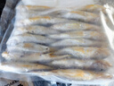 舟山海捕小黃魚(yú)野生細(xì)麟小黃魚(yú)新鮮速凍 500g（約15-18條/斤） 曬單實(shí)拍圖