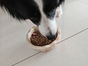 好主人鉑金酶解雞肉犬糧高消化高吸收10天改善軟便全價(jià)美味凍干犬糧 【玻璃胃專(zhuān)研】鉑金成犬糧4斤 曬單實(shí)拍圖