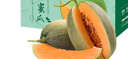 覓百果【順豐速運】新疆哈密瓜吐魯番火焰山西州蜜25號甜瓜新鮮當季水果 凈重9-10斤【新疆順豐直發(fā)】 曬單實拍圖