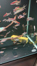 魚(yú)呼吸魚(yú)缸增氧充氣泵 夜聽(tīng)-008-6W裸機(jī) 家用養(yǎng)魚(yú)小型打制沖器棒 曬單實(shí)拍圖