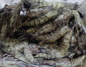 蝦有蝦途黑虎蝦特大號老虎蝦新鮮冷凍鮮活斑節蝦整盒2斤凈重20-25只/盒 1盒 2斤(凈重)  17-19cm 曬單實(shí)拍圖
