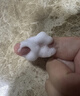 佰草集【新玉潤】保濕潔面泡150ml（洗面奶男女潔面乳深層清潔） 曬單實拍圖