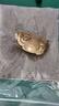 【假一賠萬】烏木金絲楠木陰沉木實木雕刻龍龜手把件文玩擺件拍賣 曬單實拍圖