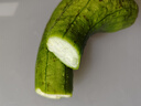 山東長(zhǎng)絲瓜綠皮絲瓜長(zhǎng)絲瓜水瓜新鮮蔬菜生鮮絲瓜現(xiàn)摘 精品絲瓜 3斤 凈重 曬單實(shí)拍圖