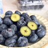 鮮級佳遼寧丹東藍莓王【多地次日達】新鮮孕婦L25花香藍莓禮盒怡顆藍莓 4盒【100g/盒】品質(zhì)升級-精品果 脆甜可口 品質(zhì)中果【單果12-14mm+】 曬單實(shí)拍圖