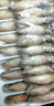 籽烏滿籽小海兔新鮮無沙海兔子章魚墨魚小管撈汁燒烤 500g(凈重） 原籽-籽烏20%帶籽 100只裝 曬單實(shí)拍圖