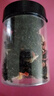 【0防腐】裙帶菜蝦皮湯速食沖泡紫菜蝦皮湯餛飩湯料包家用速食湯 【無鹽】裙帶菜蝦皮湯40g*1罐 曬單實拍圖