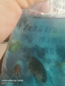 金魚（Jinyu）【精品高質(zhì)】蘭壽金魚淡水錦鯉觀賞魚國粹耐活好養(yǎng) 蘭壽10條4-5CM【顏色隨機】 曬單實拍圖