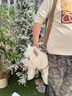 曇蓓漫狗包寵物背帶包外出狗狗背帶中小型犬背狗神器胸前背包貓咪攜帶包 多功能寵物外帶包 M碼（適合8-13斤寵物） 透氣舒適丨不悶毛皮 曬單實(shí)拍圖