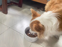 愛(ài)肯拿（ACANA）狗糧 鴨肉梨成犬低敏去淚痕全價(jià)通用原裝進(jìn)口糧11.4kg效期26/3 曬單實(shí)拍圖