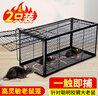 KOOGIS老鼠捕捉器一窩端驅(qū)捉抓捕老鼠籠子神器家用全自動(dòng)滅鼠貼防除撲鼠 曬單實(shí)拍圖
