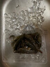 鮮活大海白蝦300g（約12-18只） 曬單實(shí)拍圖