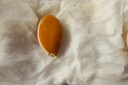 南瓜苗帶土幼苗壽光特大南瓜苗秧帶土球巨無(wú)霸觀(guān)賞食用南瓜種子籽 壽光基地直發(fā)巨無(wú)霸特大南瓜苗 #01#特大南瓜種子10粒+1包肥 曬單實(shí)拍圖