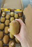 佳沛（zespri）新西蘭  陽(yáng)光金奇異果25-27粒原箱特大果單果約122-146g  獼猴桃 曬單實(shí)拍圖