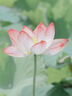 小米（MI）插線板8位總控開關(guān)版插排插座拖線板插板接線板一轉(zhuǎn)多插座多用插座擴(kuò)展全長(zhǎng)1.8m 曬單實(shí)拍圖