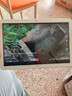 華為（HUAWEI）暢享/攬閱/M2/M3/M5/M6系列 青春版/高能版 小屏 百元 千元 學(xué)生 網(wǎng)課 二手平板電腦 華為 暢享平板 10.1英寸 曬單實(shí)拍圖