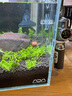 羨魚(yú)拋棄式二氧化碳鋼瓶恒壓閥水草缸一次性CO2氣瓶魚(yú)缸迷你減壓閥 選配：纖巧 掛鉤款 TINY 細化器 曬單實(shí)拍圖