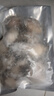 東上御品 山東 新鮮熟凍國產(chǎn)大鮑魚(yú)凈重430g（10-12頭/斤）*2袋-源頭直發(fā) 曬單實(shí)拍圖