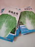 早熟五號(hào)大白菜種子50天秋冬四季播種耐熱高產(chǎn)小白菜種子蔬菜種籽 早熟五號(hào)白菜種子 5包約5000粒 曬單實(shí)拍圖