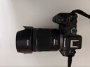佳能（Canon）RF全畫幅微單鏡頭 專業(yè)變焦鏡頭打鳥 適合R7 RP R10 R5 R6二代 R8 R50 R100微單相機(jī) RF 24-105mm IS STM標(biāo)準(zhǔn)變焦 官方標(biāo)配【不含多種濾鏡 建 曬單實拍圖